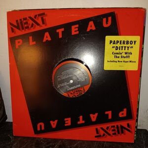 Paperboy - Ditty (12")Media: Near Mint (NM or M-Sleeve: Very Good Plus (VG+)